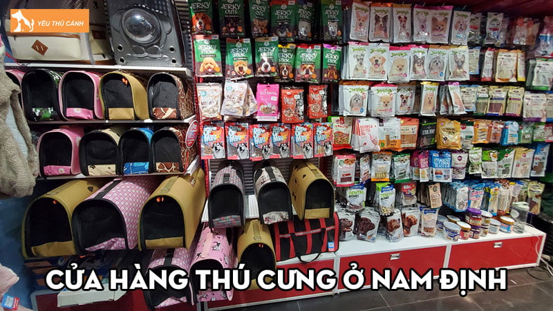 TOP 5 cửa hàng thú cưng ở Nam Định được yêu thích nhất Thucanh