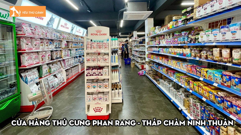 5+ cửa hàng thú cưng Phan Rang – Tháp Chàm Ninh Thuận uy tín