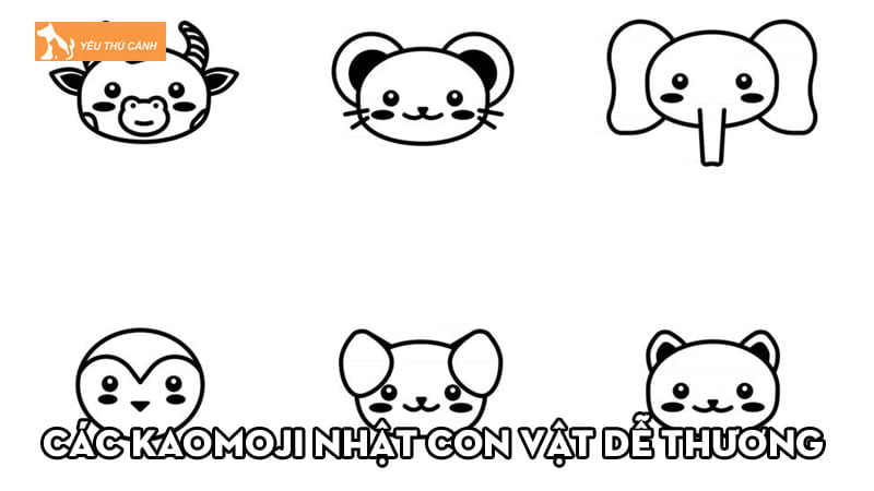 Bật mí các Kaomoji Nhật con vật dễ thương và thú vị nhất