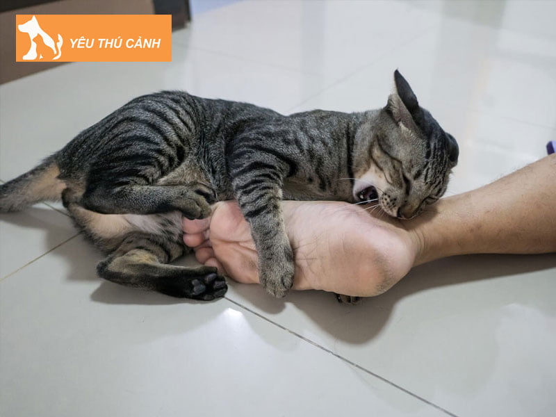 bi-meo-can-nen-kieng-an-gi-thucanh