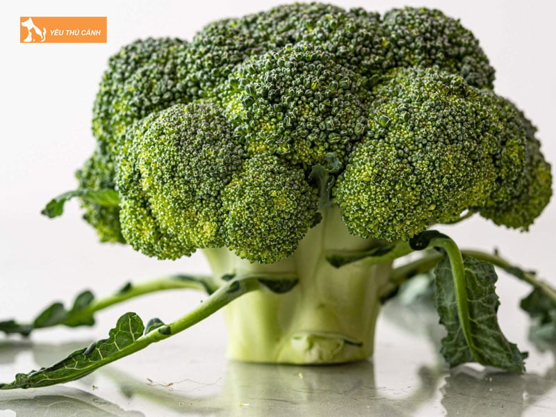 Bong-cai-xanh-loai-rau-meo-an-duoc-thucanh