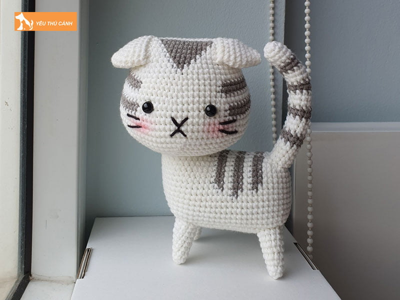 cac-buoc-tien-hanh-moc-meo-len-de-thuong-2-thucanh