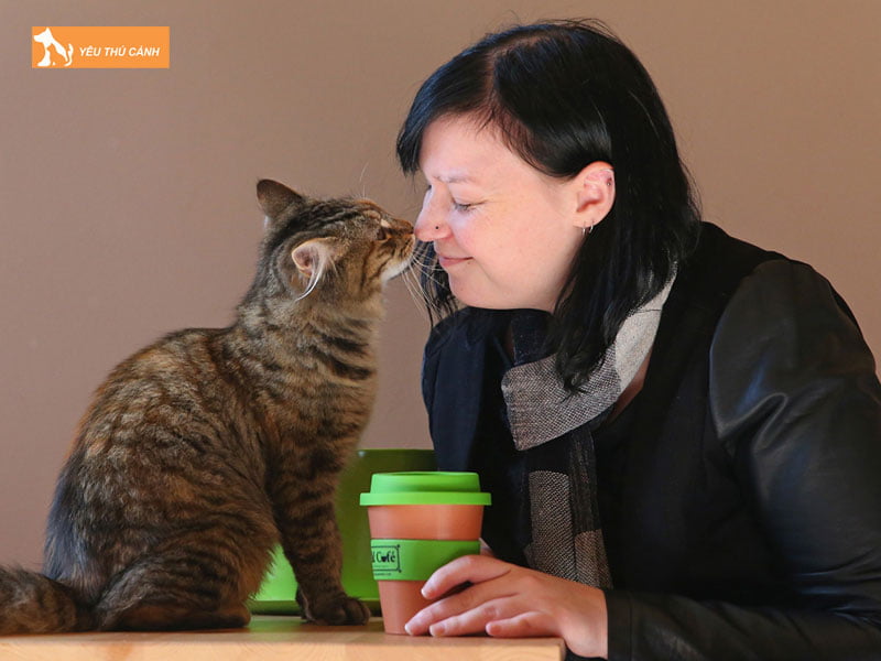 Cac-cu-dong-tren-cac-bo-phan-co-the-meo-thucanh