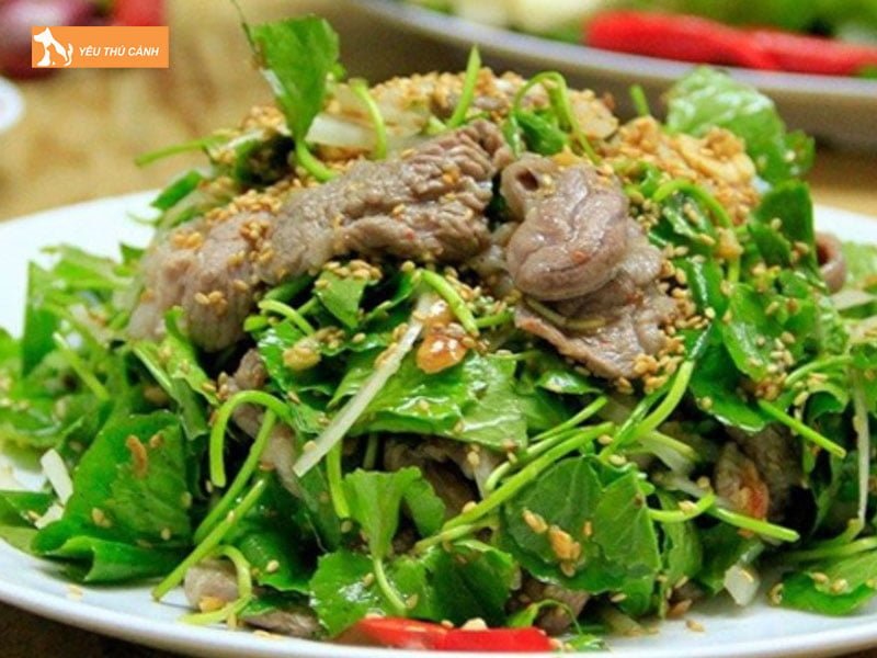 cac-mon-ngon-che-bien-tu-thit-meo-thucanh