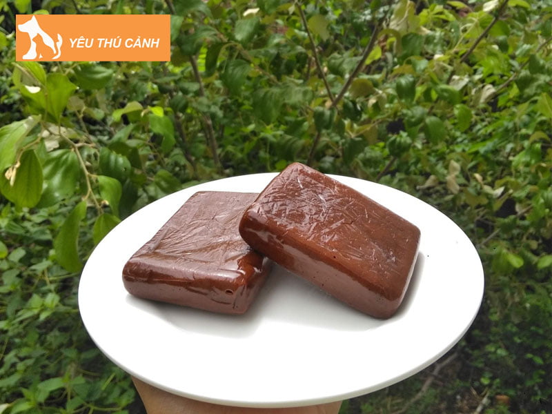 cach-bao-quan-cao-meo-den-thucanh