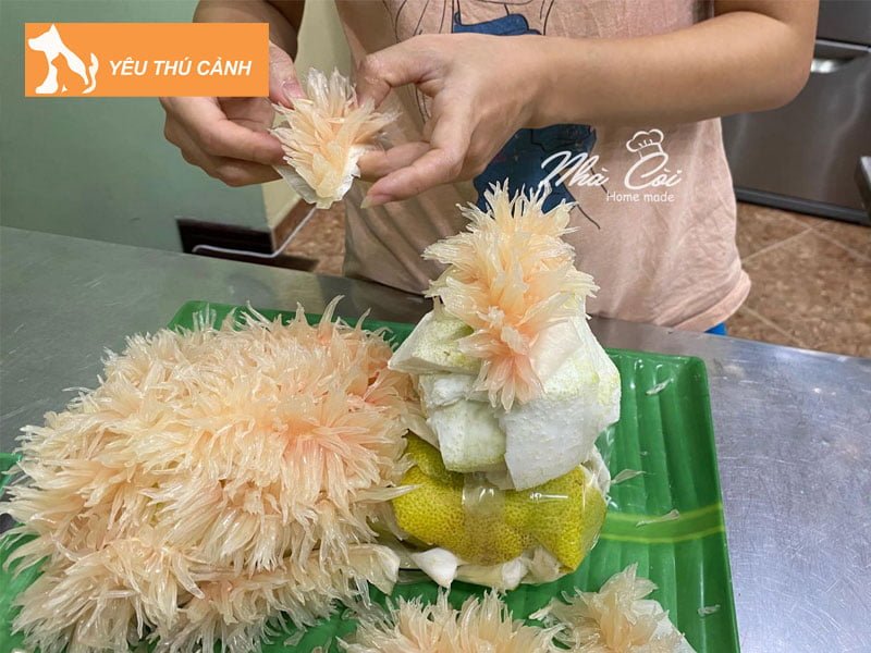 cach-lam-chu-cho-bang-buoi-bay-mam-co-1-thucanh