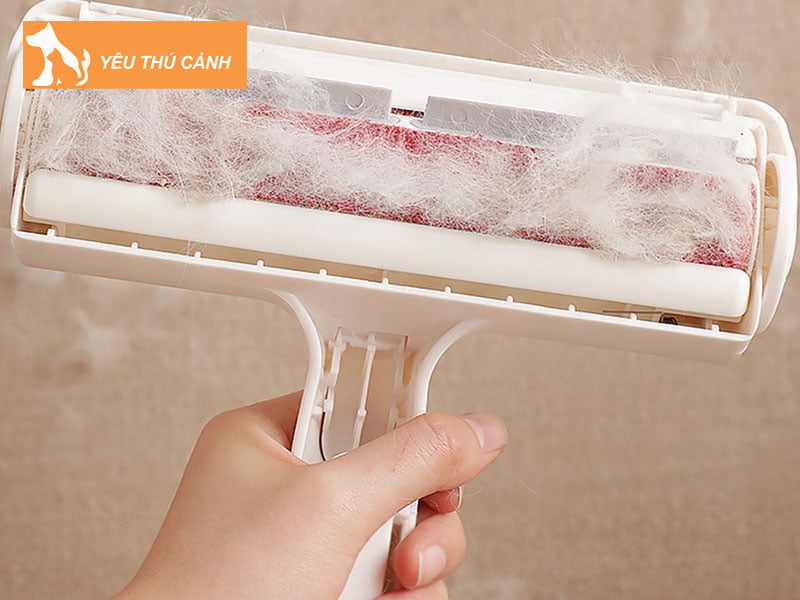 cach-lam-sach-long-meo-trong-nha-thucanh