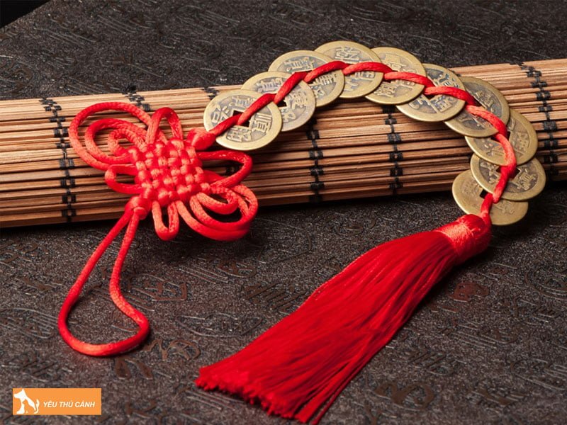 cach-xac-dinh-van-menh-xuong-cot-con-nha-ngu-de-qua-tuoi-tac-thucanh