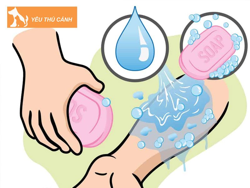 can-lam-gi-sau-khi-bi-cho-can-1-thucanh