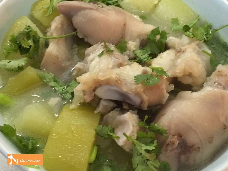 chan-cho-ham-du-du-co-loi-sua-cho-me-sau-sinh-thucanh