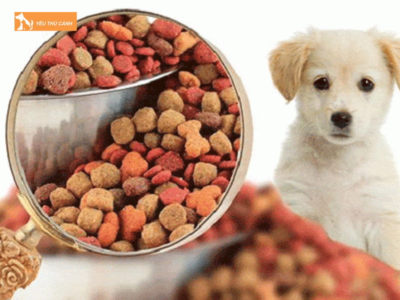 Cho-an-uong-day-du-de-cho-han-che-gam-gu-thucanh