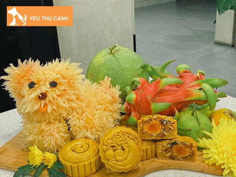 cho-buoi-la-gi-thucanh