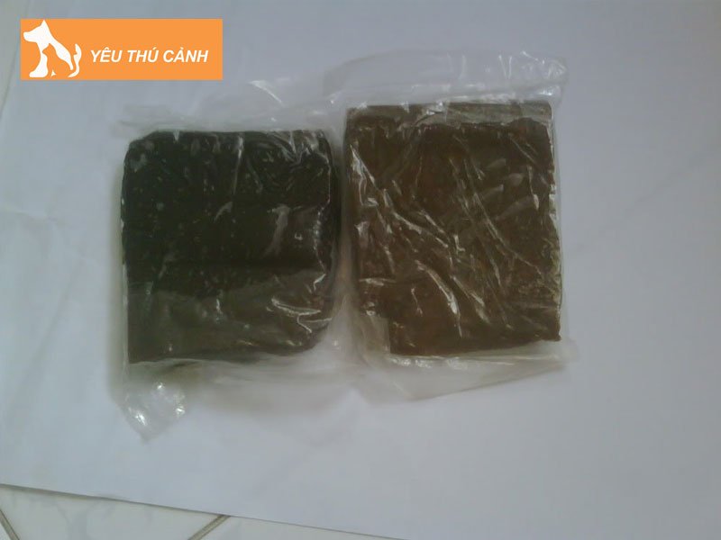 cong-dung-cua-cao-meo-den-thucanh