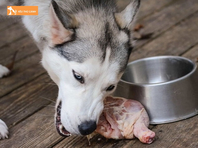 Cung-cap-dinh-duong-thucanh