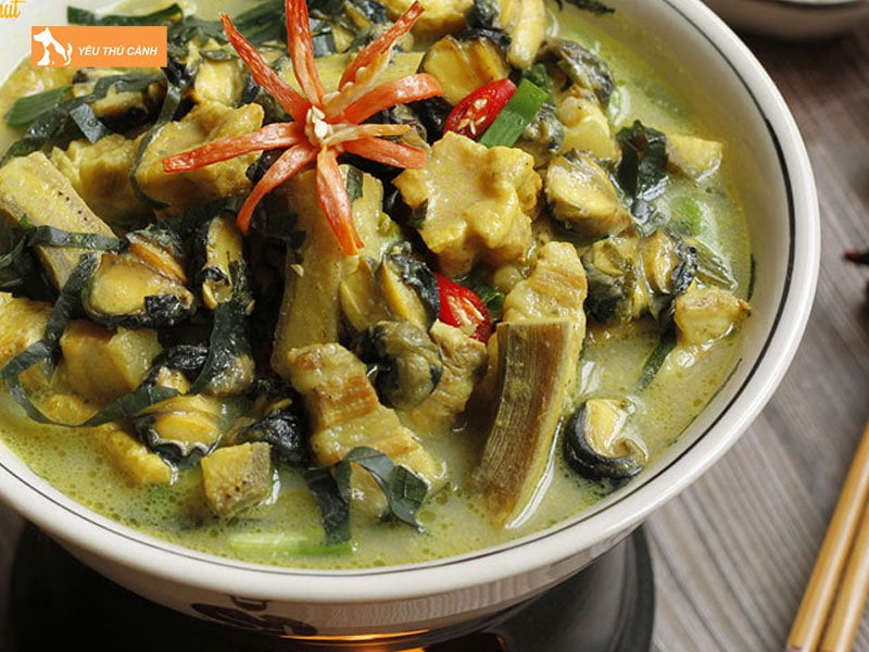 dinh-duong-tu-mon-thit-cho-om-chuoi-xanh-thucanh