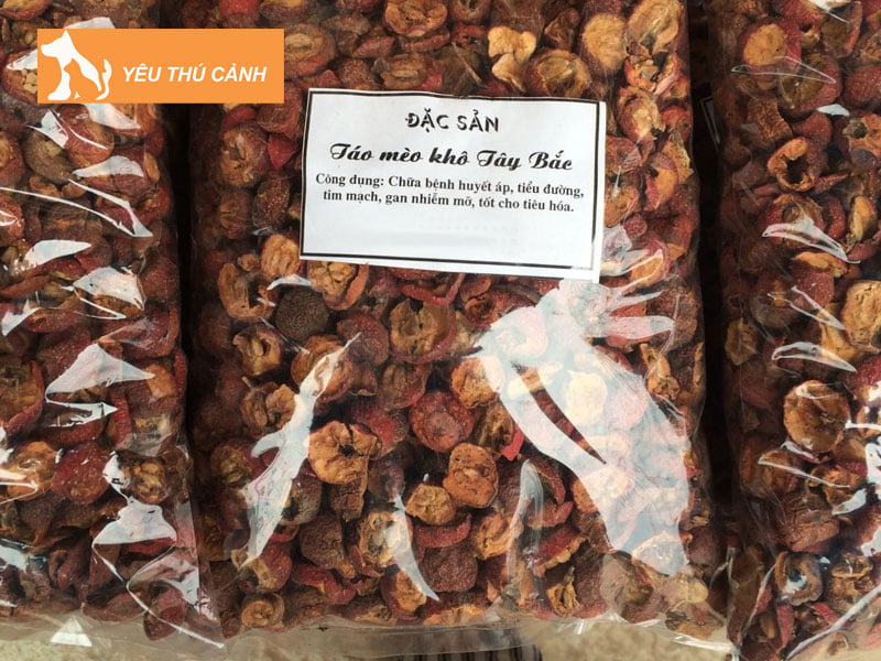 dinh-lang-ngam-voi-tao-meo-thucanh