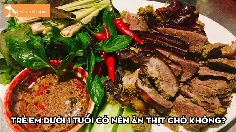 Giải đáp thắc mắc trẻ em dưới 1 tuổi có nên ăn thịt chó không?