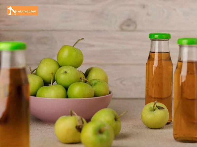 Giam-tao-meo-thucanh