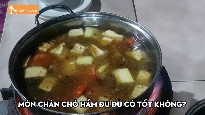 Món chân chó hầm đu đủ có tốt sữa cho mẹ sau sinh? Lưu ý khi dùng