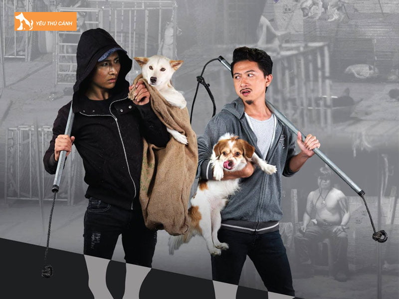 mot-so-con-so-may-man-khi-ngu-mo-thay-trom-cho-1-thucanh