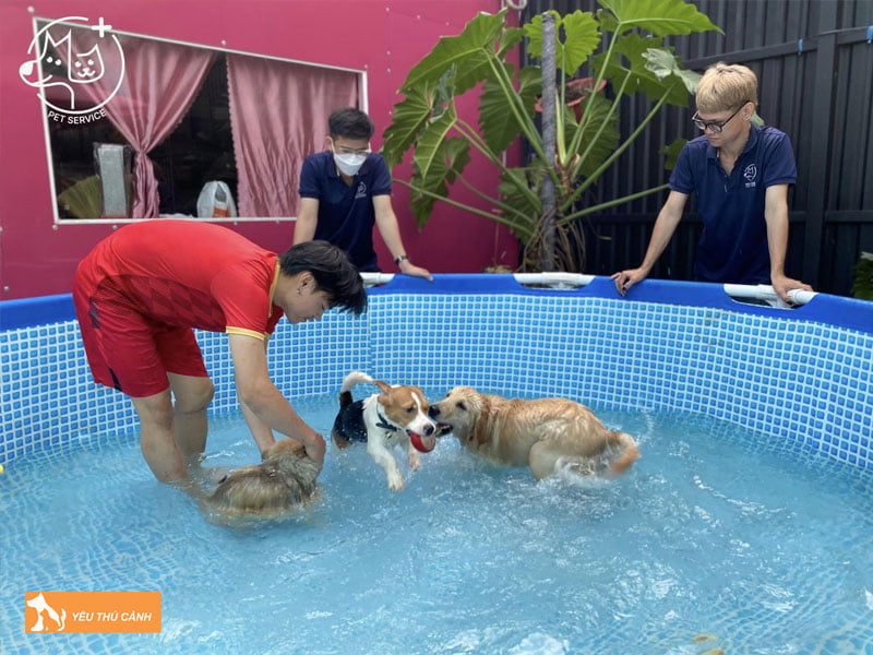 mot-so-dich-vu-cham-soc-thu-cung-co-tai-pet-service-2-thucanh