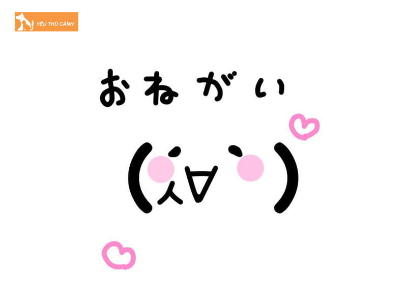 mot-so-kaomoji-nhat-con-vat-sieu-thu-vi-1-thucanh