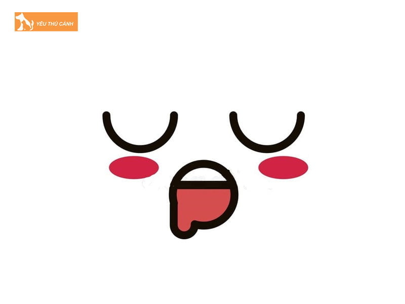 mot-so-kaomoji-nhat-con-vat-sieu-thu-vi-2-thucanh