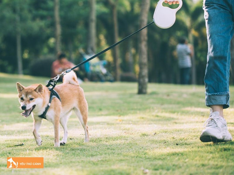 mot-so-luu-y-can-biet-khi-dat-cho-di-dao-1-thucanh