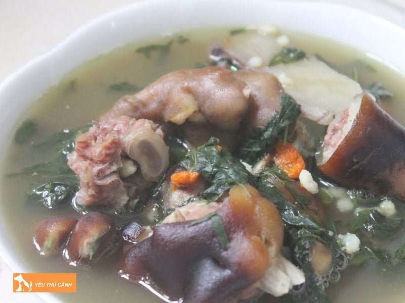 mot-so-luu-y-khi-dung-mon-chan-cho-ham-du-du-cho-cac-me-sau-sinh-thucanh