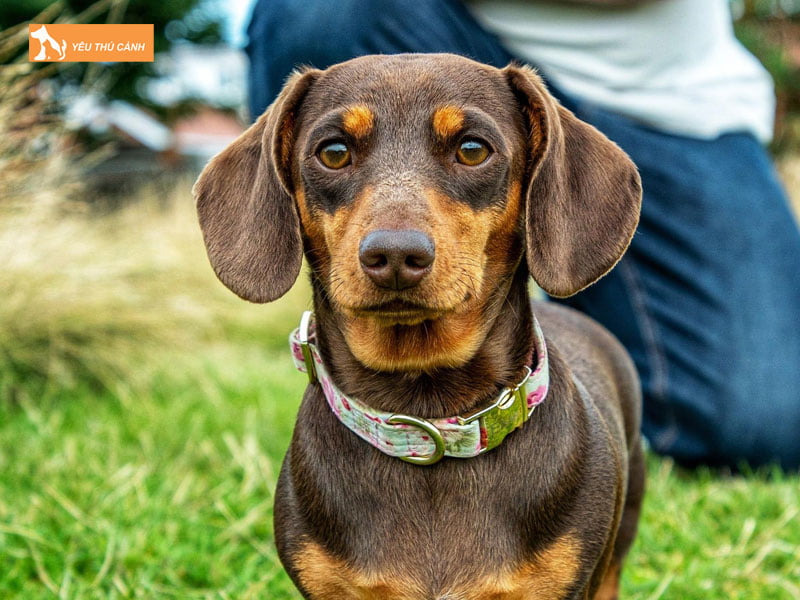 Mot-vai-luu-y-khi-cham-soc-cho-lap-xuong-sinh-san-thucanh