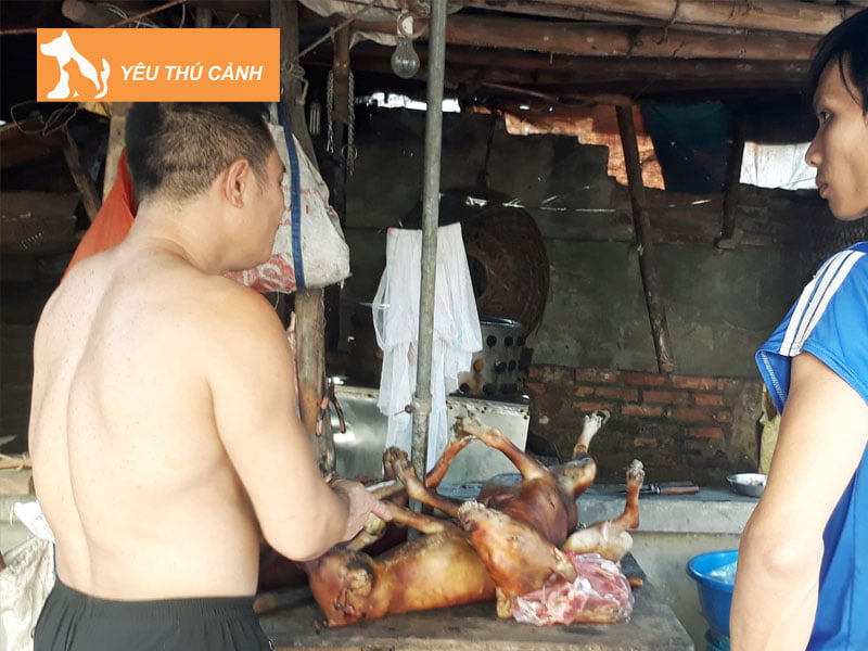 nam-mo-thay-lam-thit-cho-la-diem-gi-thucanh