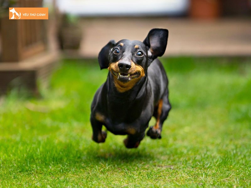 Nen-lam-gi-khi-cho-lap-xuong-sap-sinh-thucanh