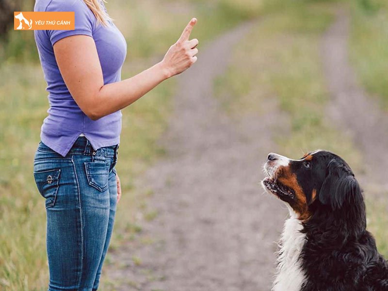 Nghiem-khac-day-do-thuong-phat-dung-luc-thucanh