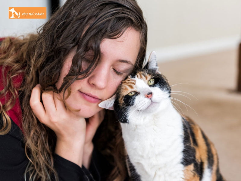 Ngon-ngu-loai-meo-the-hien-qua-cac-hanh-vi-tuong-tac-voi-chu-thucanh