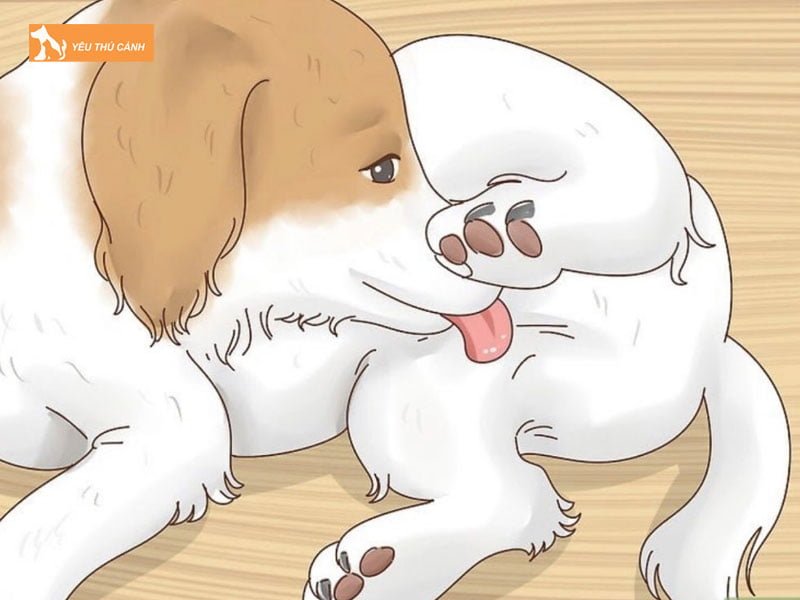 nhung-dau-hieu-nhan-biet-cho-duc-phat-duc-thucanh