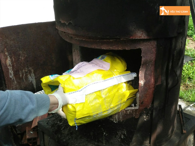 nhung-luu-y-can-biet-truoc-khi-hoa-tang-thu-cung-1-thucanh