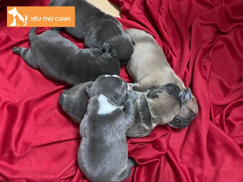 nhung-truong-hop-cho-de-mang-diem-lanh-hay-diem-xau-1-thucanh