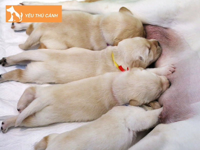 nhung-truong-hop-cho-de-mang-diem-lanh-hay-diem-xau-thucanh