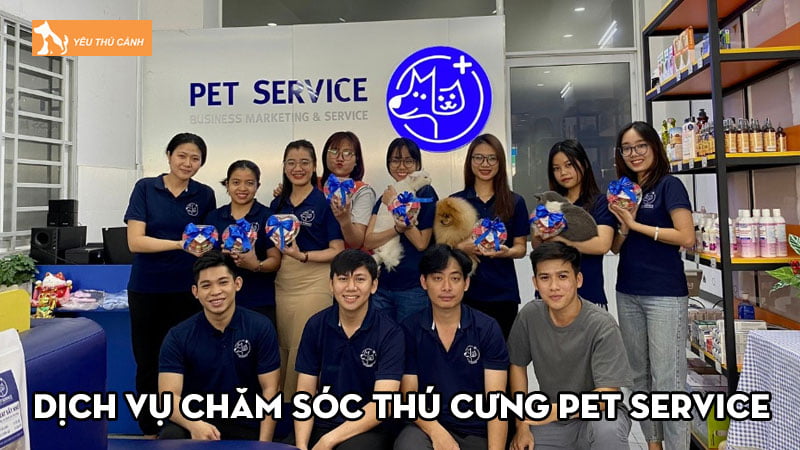 pet-service-dich-vu-cham-soc-thu-cung-uy-tin-chat-luong-thucanh