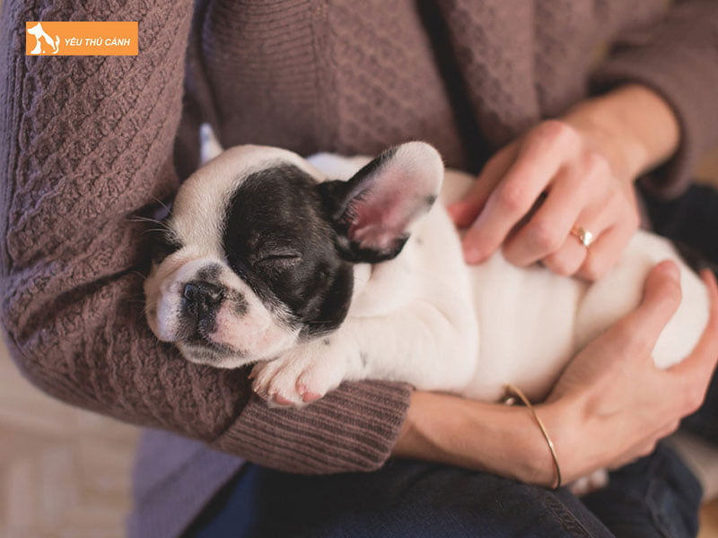 Quan-tam-cham-soc-cun-nhieu-hon-thucanh