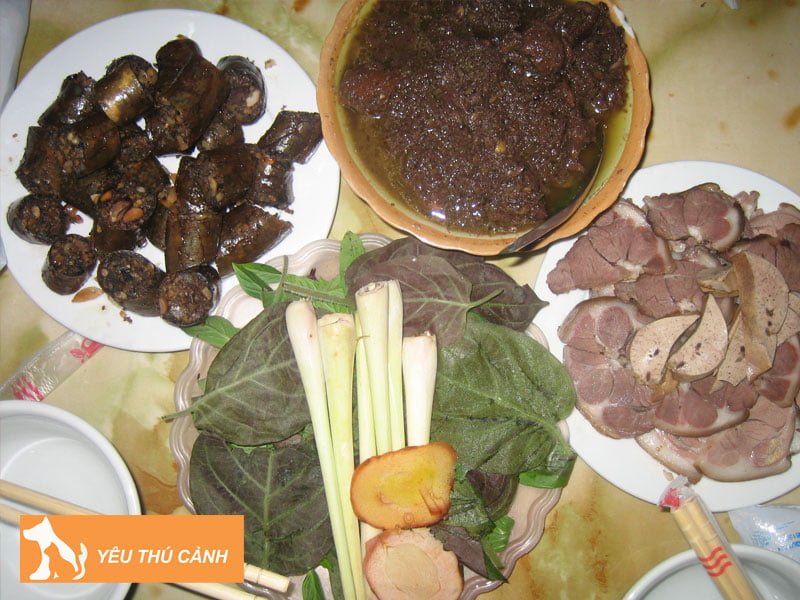 quan-thit-cho-canh-ca-thai-binh-thucanh