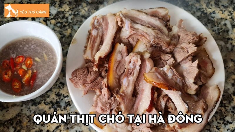 Quán thịt chó tại Hà Đông | 10+ địa chỉ ăn ngon có tiếng