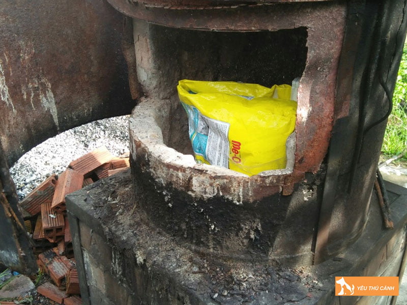 quy-trinh-hoa-tang-cho-meo-thucanh