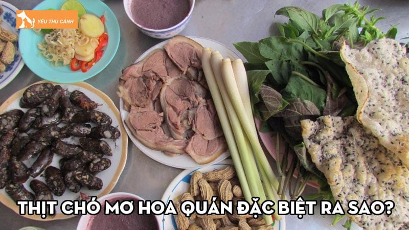 Thịt chó Mơ Hoa Quán đặc biệt ra sao mà được khen nức nở?