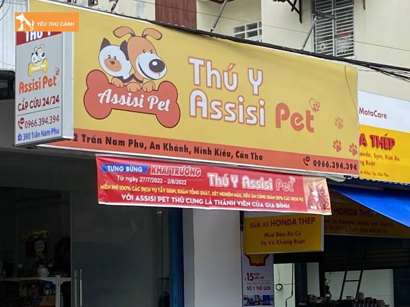 Thu-y-can-tho-assisi-pet-thucanh