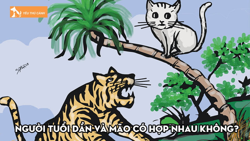 Tìm hiểu người tuổi Dần và Mão có hợp nhau không?