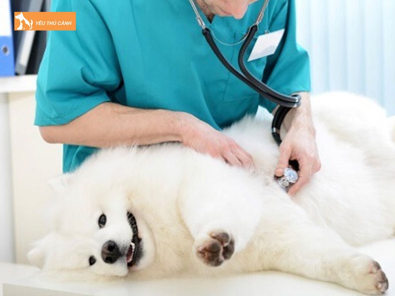 Truoc-khi-lam-phau-thuat-thucanh