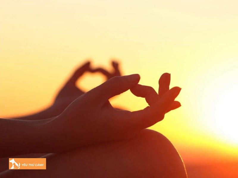 y-nghia-cua-xuong-cot-lien-quan-den-van-menh-trong-ngu-de-thucanh