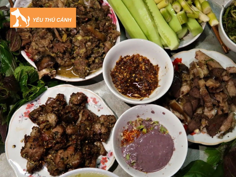 y-nghia-mot-so-giac-mong-ve-thit-cho-1-thucanh