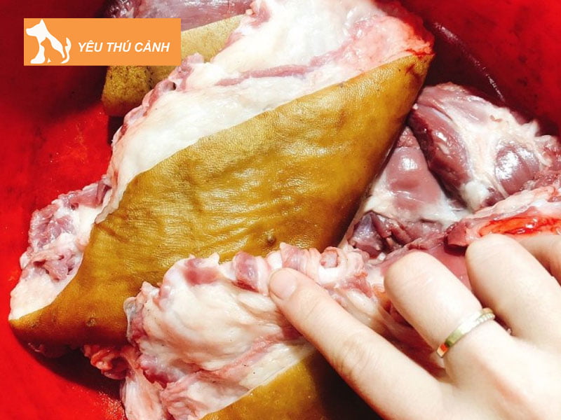 y-nghia-mot-so-giac-mong-ve-thit-cho-thucanh